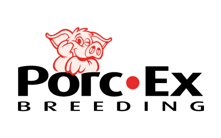 porc_ex